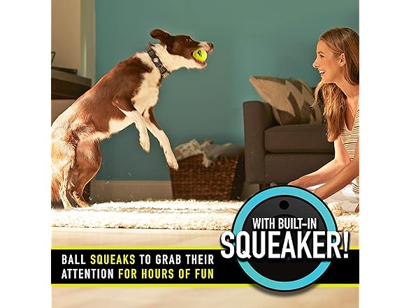 Franklin Squeaky Dog Tennis Balls 3Pk