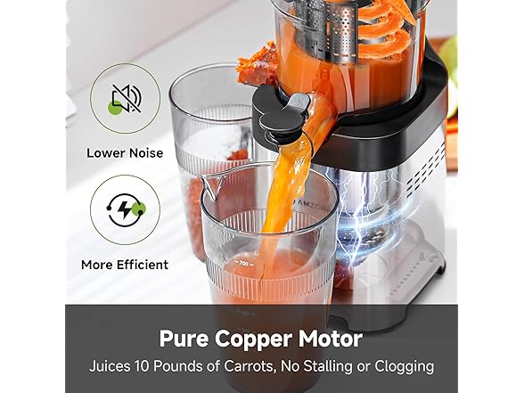 AMZCHEF Cold Press Juicer