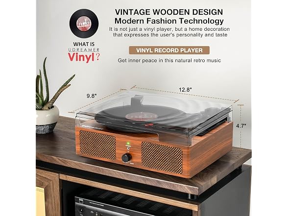 Vinyl Record Player Turntable with