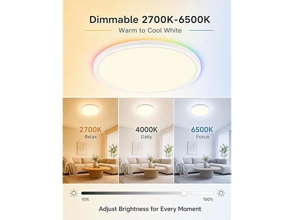 Xinsway 12in Smart Ceiling Light RGB