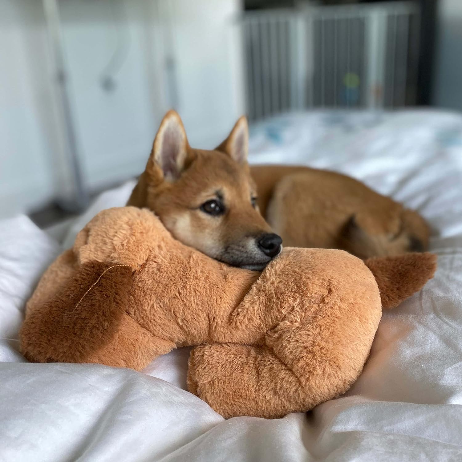 Snuggle Puppy Behavioral Aid Toy (Biscuit) - Gallery 9