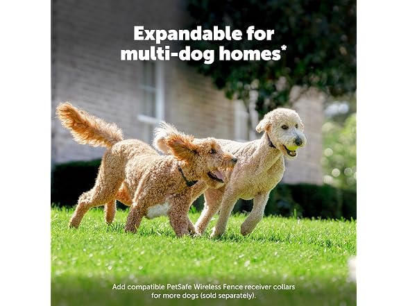PetSafe Stay & Play Compact Wireless Dog Fence, Up to 3/4 Acre