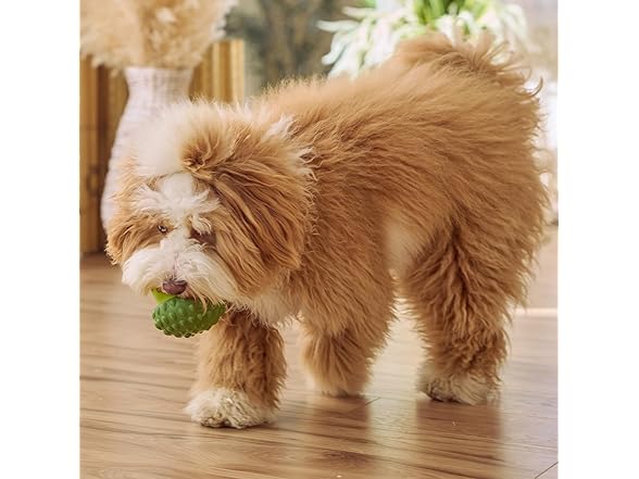 SPOT Treat Tumbler Broccoli – Freezable & Fillable
