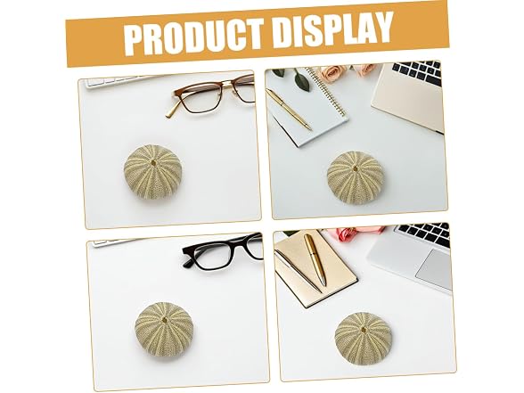 8pcs Natural Sea Shell Natural Sea Urchins D