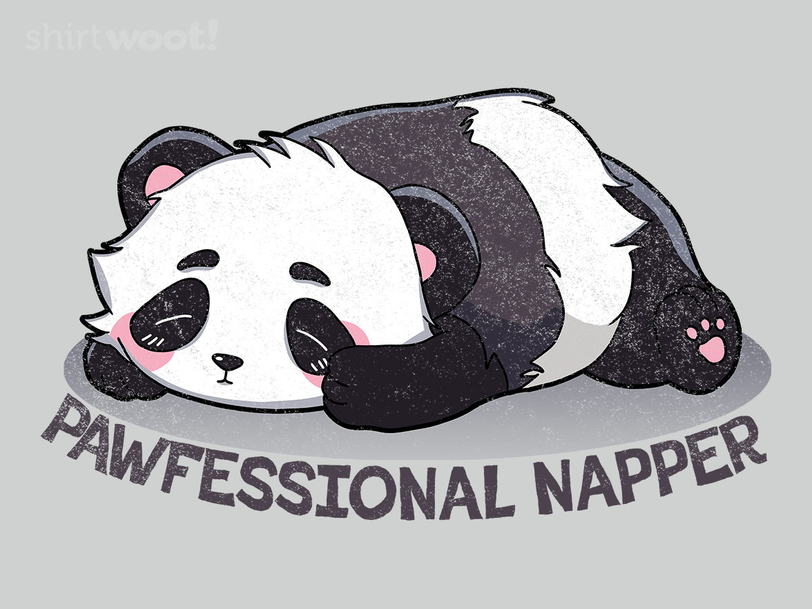 Pawfessional Napper - Gallery 4