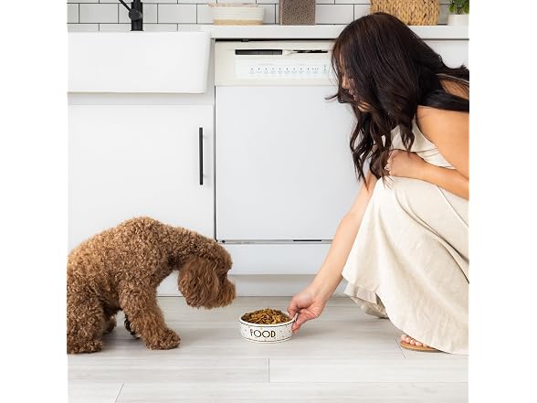 Pearhead Ceramic Dog Food Bowl – Bistro Tile