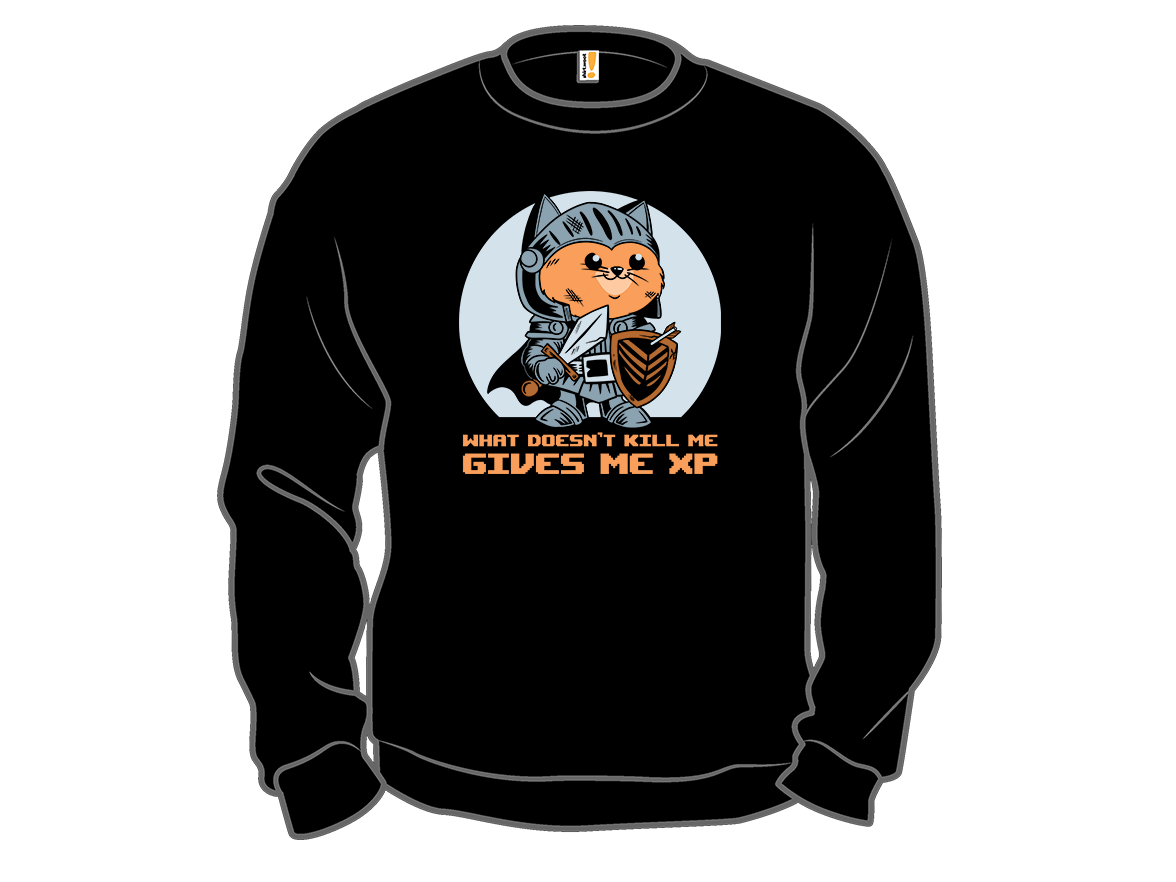 What Doesn?t Kill Me Gives Me XP Cat - Gallery 11