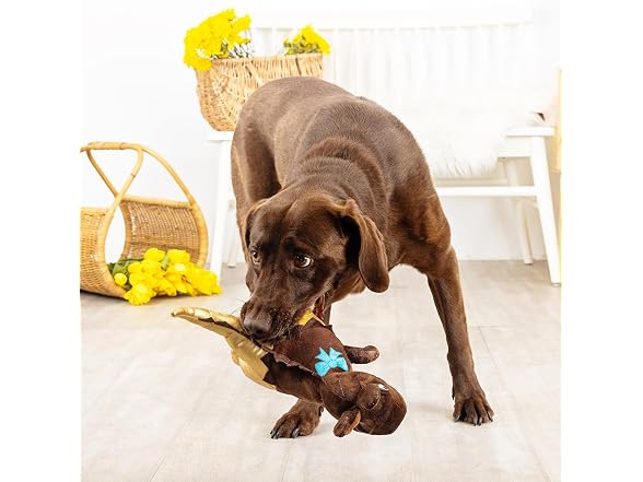 Fringe Studio Plush Dog Toy, Choc-A-Saurus Rex