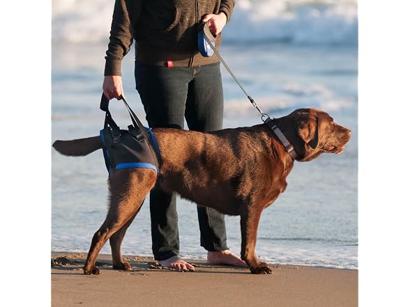 Walkabout Back End Harness, Dog and Cat Lift