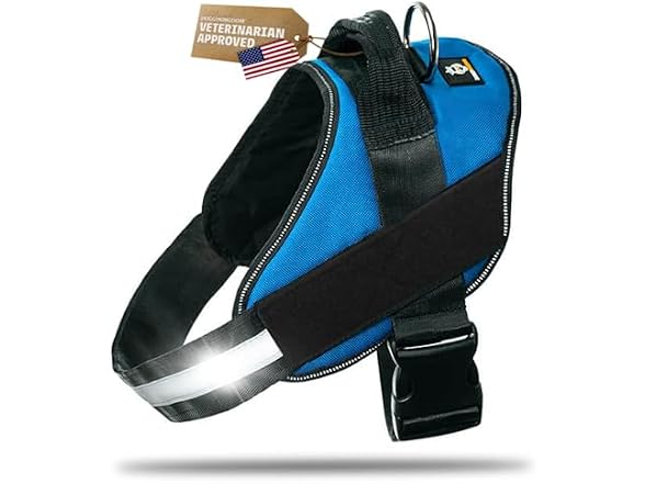 DOGGYKINGDOM No Choke Dog Harness with Handl