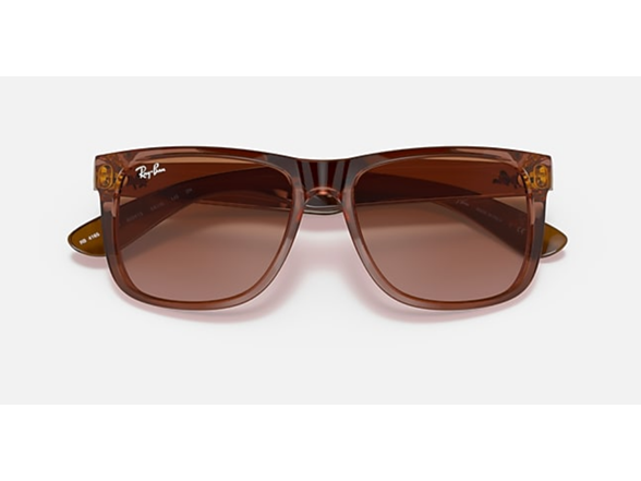 Transparent Light Brown /Brown Gradient