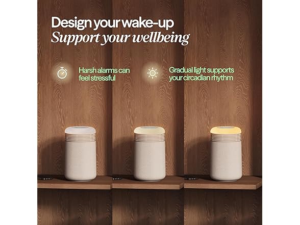 BLUEAIR Purifier & Sunrise Alarm Clock