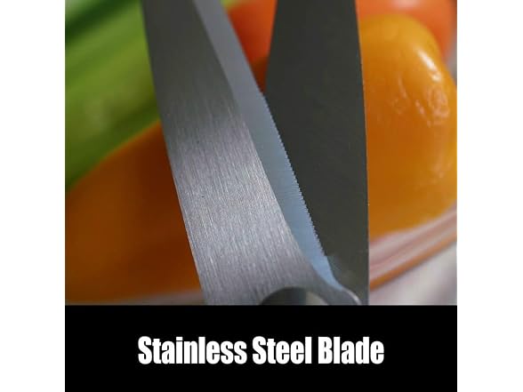 Brite Concepts CULINARY ELEMENTS Kitchen Shears