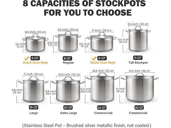 Cooks Standard Professional 6 Quart Stock Pot with Lid