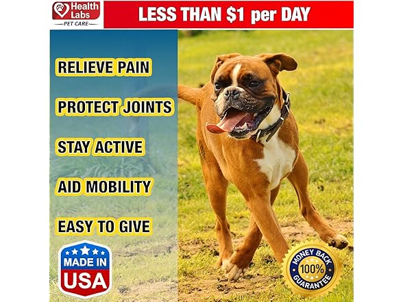 The Health Labs - Glucosamine For Dogs