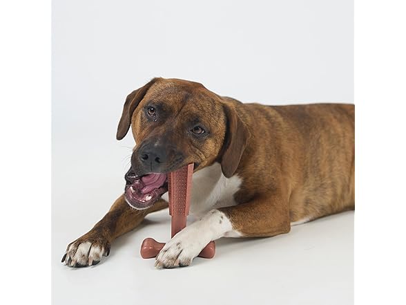 SPOT Bam-Bones Plus Coffee Wood T-Bone