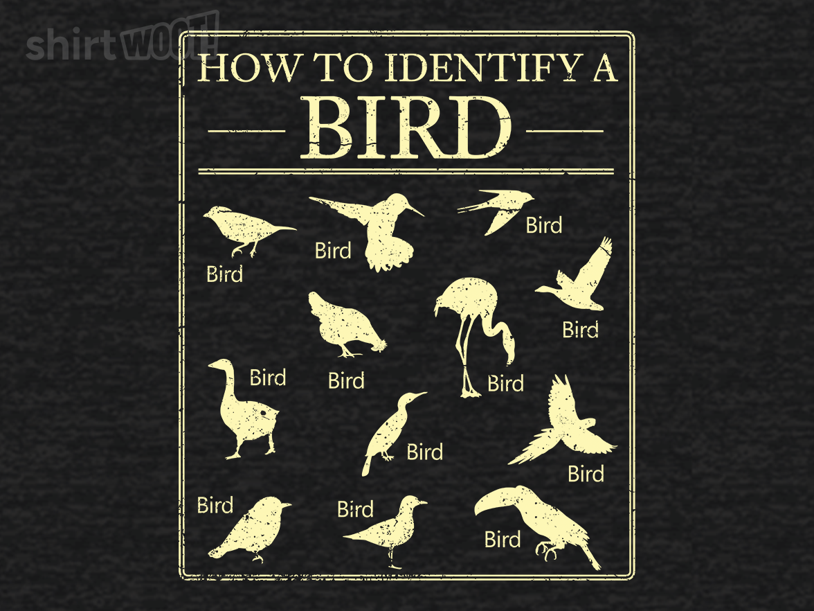 How To Identify A Bird - Gallery 4