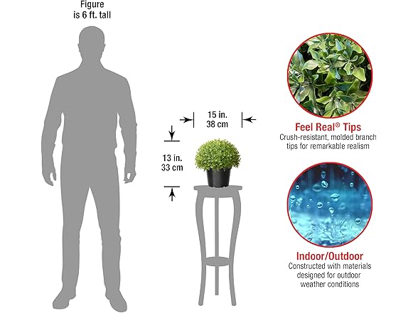 National Tree Company Holly Bush Shrub