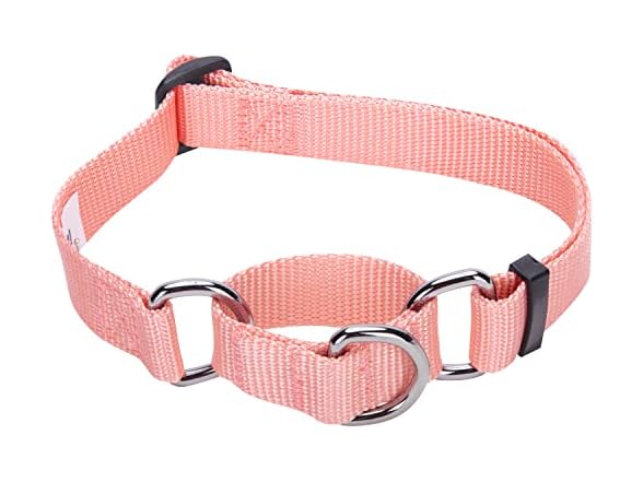 Blueberry Pet Essentials Martingale Safety Collar