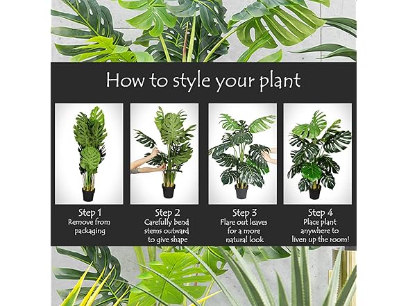 AMERIQUE Snake Plant 3ft Pair