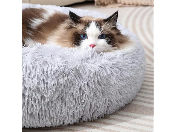 Finenohoory Cat Beds for Indoor Cats Dog Bed Donut