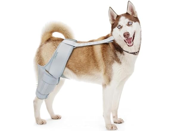 MerryMilo Dog Knee Brace