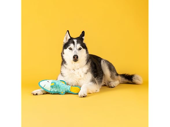 Fringe Studio Fish You the Best Durable Plush Dog Toy
