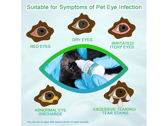 Mekseks Pet Eye Care Gel Drop for Dogs - Gallery 7