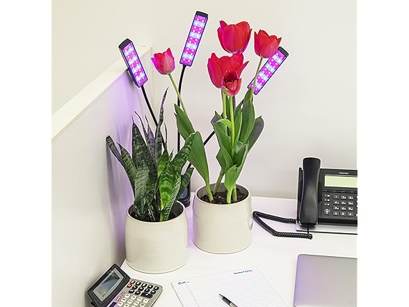 Bell+Howell Growburst 24” Indoor Plant Growing Lamp