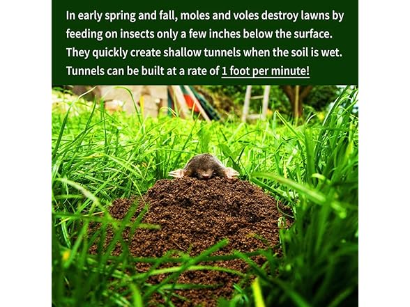 Nature's MACE Commercial Granular Deer 