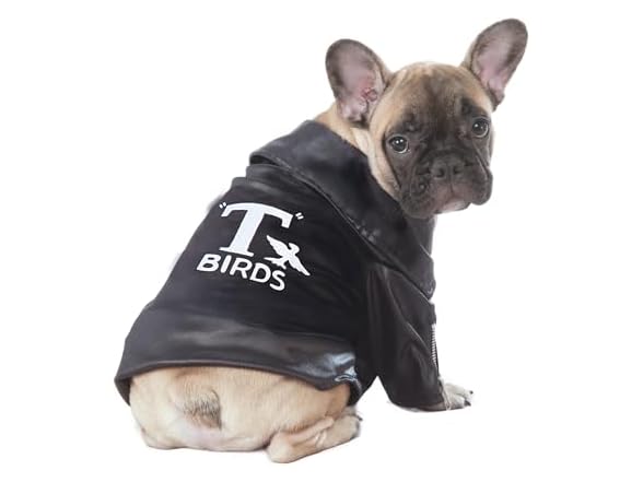 Rubie's Grease: T-Birds Pet Costume, XL