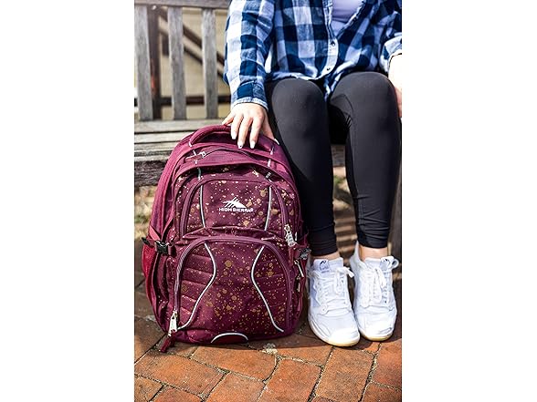 High Sierra Swerve Laptop Backpack