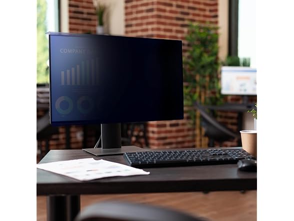 StarTech Computer Monitor Privacy
