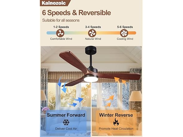 Kainozoic 52 Inch Ceiling Fan with Light