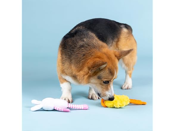 Fringe Studio Plush Dog Toy, 2 Pieces Set