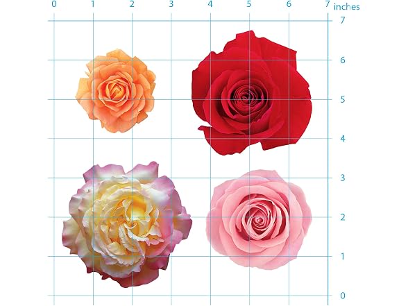 Paper House Productions Rose Garden 24-Piece