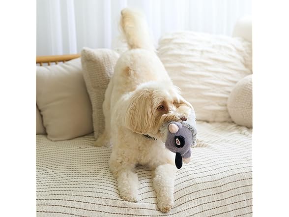 SPOT Woodsy Gnome Dog Toy