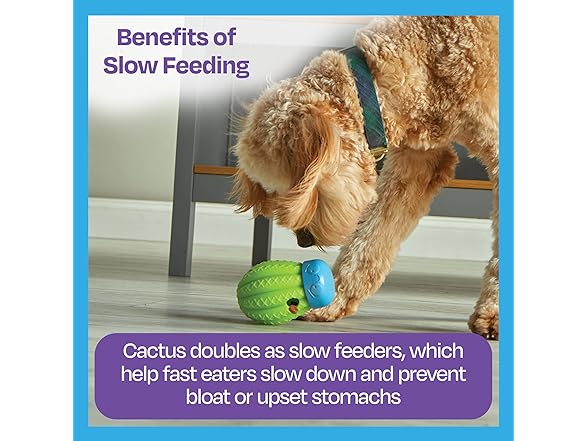 Brightkins Cactus Surprise Treat Dispenser