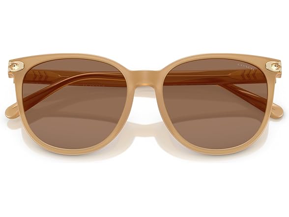 COACH Women's Sunglasses HC 8414