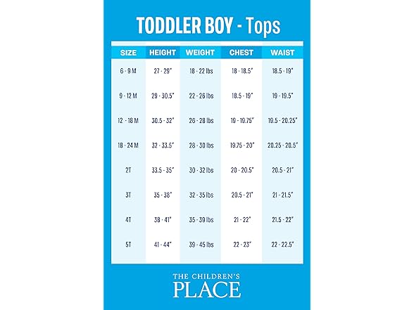 The Children's Place Boys (5T) Toddler T-Shirt