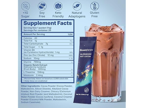 20CT Mushroom Adaptogenic Hot Cocoa