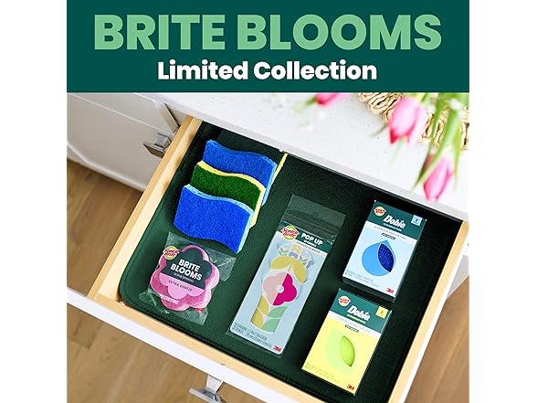 Scotch-Brite Kitchen Sponge Set