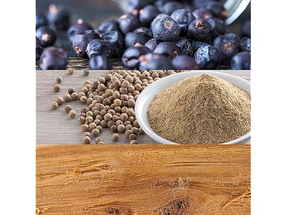 Calvin Klein CK Be 6.7 OZ EDT Pour/Spray