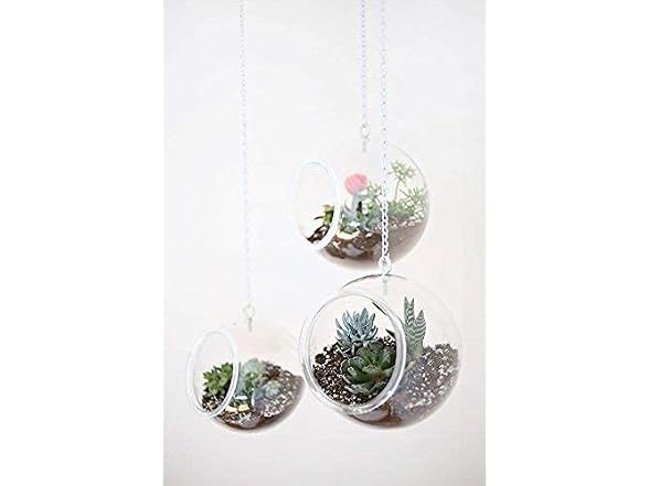 2 Clear Globe Terrarium Plastic 4.5" x 4.5"
