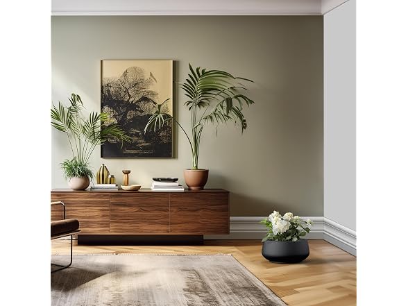 Kante 16.9" Concrete Bonsai Planters