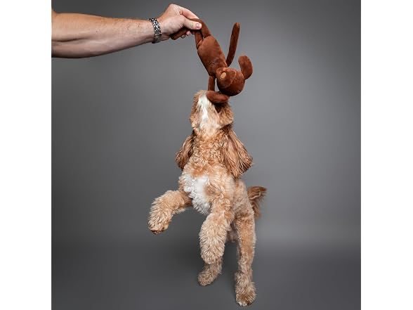 Noah & Paw Luxury dog toy, Stuffed Dog