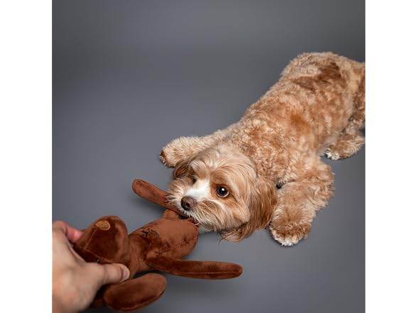 Noah & Paw Luxury dog toy, Stuffed Dog