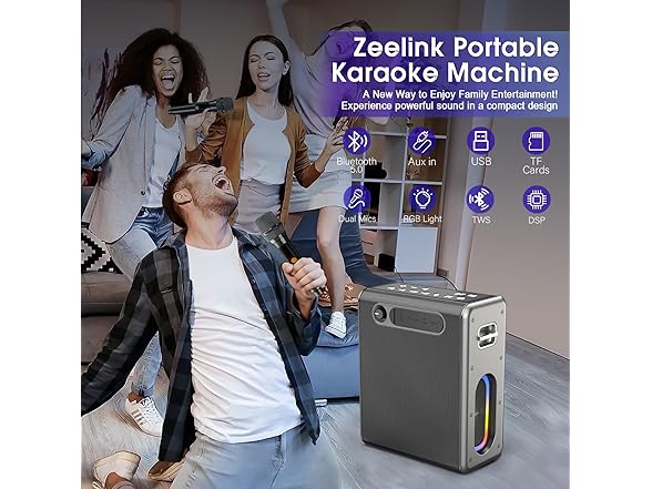 Zeelink Karaoke Machine with Two Microphones