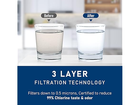 TEEHAY Water Filter 2-Pack