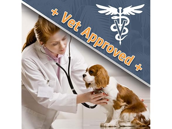 Jungle Pet Deodorizing Dog Shampoo, 16oz